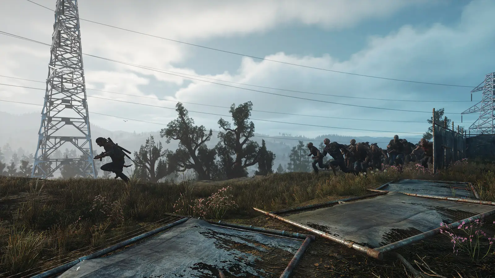 Days Gone: кадр из игры